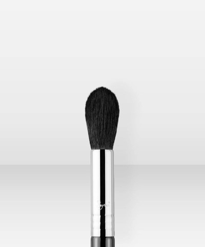 Sigma Beauty F35  Tapered Highlighter Brush
